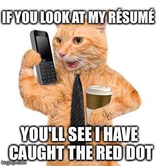 Business Cat | IF YOU LOOK AT MY RÉSUMÉ; YOU'LL SEE I HAVE CAUGHT THE RED DOT | image tagged in business cat | made w/ Imgflip meme maker