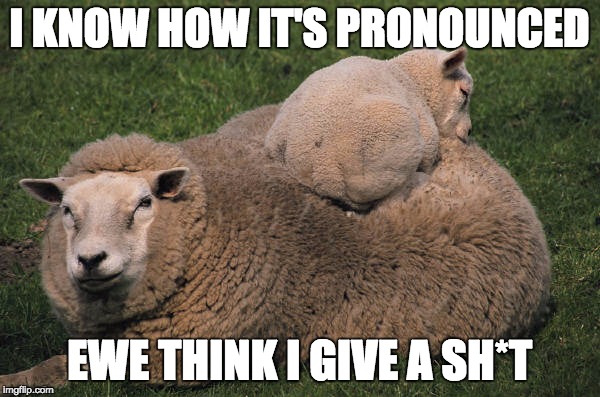 I KNOW HOW IT'S PRONOUNCED EWE THINK I GIVE A SH*T | made w/ Imgflip meme maker