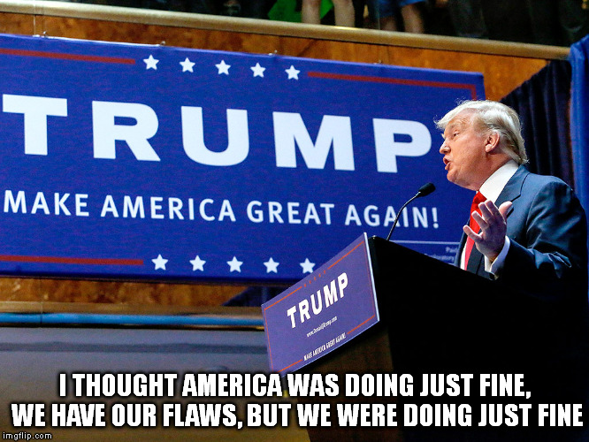 Seriously? | I THOUGHT AMERICA WAS DOING JUST FINE, WE HAVE OUR FLAWS, BUT WE WERE DOING JUST FINE | image tagged in donald trump,politics | made w/ Imgflip meme maker