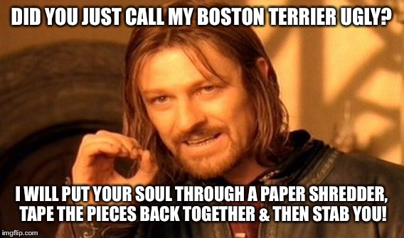 One Does Not Simply Meme | DID YOU JUST CALL MY BOSTON TERRIER UGLY? I WILL PUT YOUR SOUL THROUGH A PAPER SHREDDER, TAPE THE PIECES BACK TOGETHER & THEN STAB YOU! | image tagged in memes,one does not simply | made w/ Imgflip meme maker