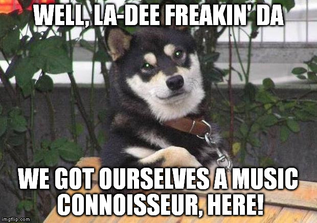 Cool dog | WELL, LA-DEE FREAKIN' DA; WE GOT OURSELVES A MUSIC CONNOISSEUR, HERE!﻿ | image tagged in cool dog,music,reply,intelligent dog,musician | made w/ Imgflip meme maker