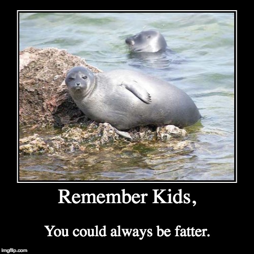 Seal the fat | image tagged in funny,demotivationals,fat,seal,sassy,meme | made w/ Imgflip demotivational maker