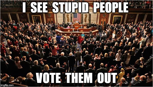 Congress | I  SEE  STUPID  PEOPLE; VOTE  THEM  OUT | image tagged in congress | made w/ Imgflip meme maker