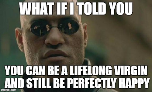 There's more than sex | WHAT IF I TOLD YOU; YOU CAN BE A LIFELONG VIRGIN AND STILL BE PERFECTLY HAPPY | image tagged in memes,matrix morpheus | made w/ Imgflip meme maker