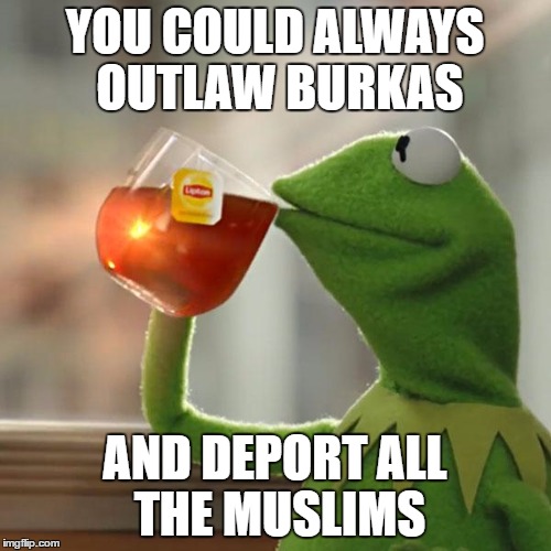 But That's None Of My Business Meme | YOU COULD ALWAYS OUTLAW BURKAS AND DEPORT ALL THE MUSLIMS | image tagged in memes,but thats none of my business,kermit the frog | made w/ Imgflip meme maker
