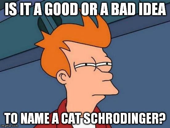 It can be good or bad until I name it. | IS IT A GOOD OR A BAD IDEA; TO NAME A CAT SCHRODINGER? | image tagged in memes,futurama fry | made w/ Imgflip meme maker