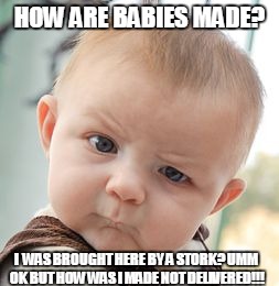 Skeptical Baby Meme | HOW ARE BABIES MADE? I  WAS BROUGHT HERE BY A STORK? UMM OK BUT HOW WAS I MADE NOT DELIVERED!!! | image tagged in memes,skeptical baby | made w/ Imgflip meme maker