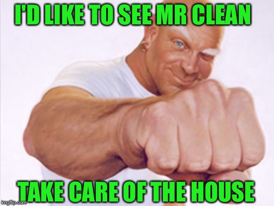 I'D LIKE TO SEE MR CLEAN TAKE CARE OF THE HOUSE | made w/ Imgflip meme maker