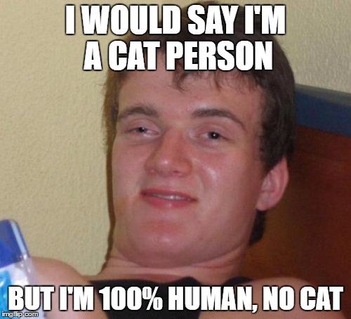 10 Guy Meme | I WOULD SAY I'M A CAT PERSON; BUT I'M 100% HUMAN, NO CAT | image tagged in memes,10 guy | made w/ Imgflip meme maker
