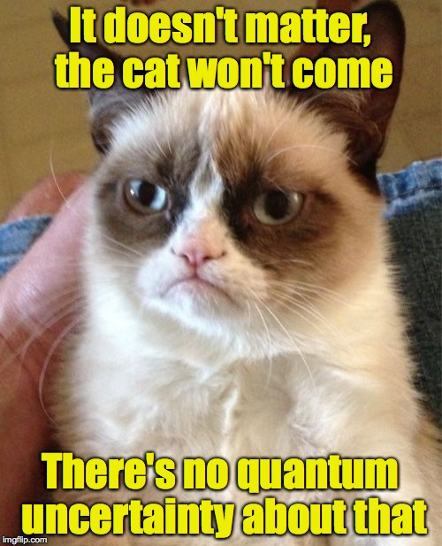 Grumpy Cat Meme | It doesn't matter, the cat won't come There's no quantum uncertainty about that | image tagged in memes,grumpy cat | made w/ Imgflip meme maker