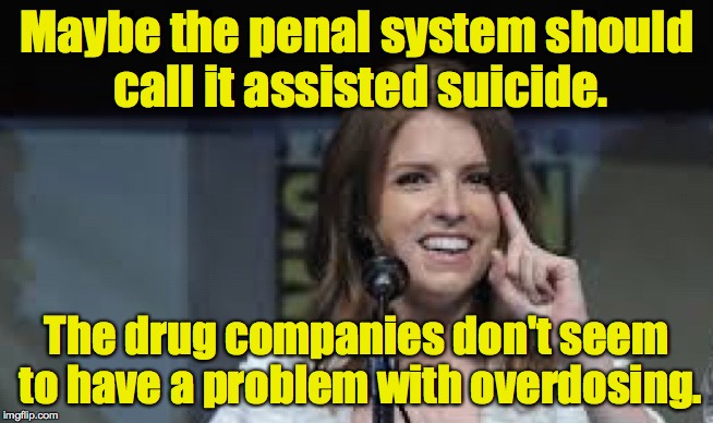 Condescending Anna | Maybe the penal system should call it assisted suicide. The drug companies don't seem to have a problem with overdosing. | image tagged in condescending anna | made w/ Imgflip meme maker