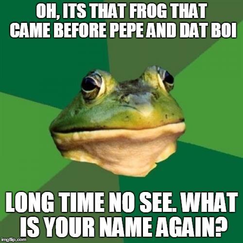 Foul Bachelor Frog Meme | OH, ITS THAT FROG THAT CAME BEFORE PEPE AND DAT BOI; LONG TIME NO SEE. WHAT IS YOUR NAME AGAIN? | image tagged in memes,foul bachelor frog | made w/ Imgflip meme maker