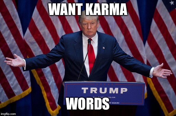 Donald Trump | WANT KARMA; WORDS | image tagged in donald trump | made w/ Imgflip meme maker
