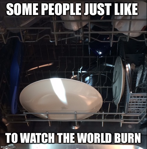 SOME PEOPLE JUST LIKE; TO WATCH THE WORLD BURN | image tagged in huh,facepalm | made w/ Imgflip meme maker
