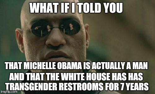 Ask Joan Rivers. (Food for thought) | WHAT IF I TOLD YOU; THAT MICHELLE OBAMA IS ACTUALLY A MAN; AND THAT THE WHITE HOUSE HAS HAS TRANSGENDER RESTROOMS FOR 7 YEARS | image tagged in memes,matrix morpheus,transgender bathroom,white house,michelle obama | made w/ Imgflip meme maker