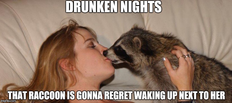 kiss racoon | DRUNKEN NIGHTS; THAT RACCOON IS GONNA REGRET WAKING UP NEXT TO HER | image tagged in kiss racoon | made w/ Imgflip meme maker