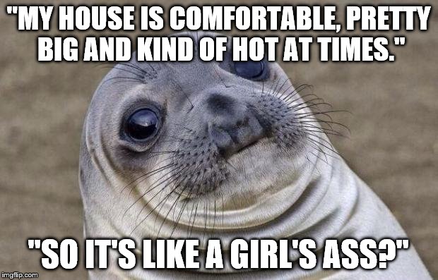 Awkward Moment Sealion Meme |  "MY HOUSE IS COMFORTABLE, PRETTY BIG AND KIND OF HOT AT TIMES."; "SO IT'S LIKE A GIRL'S ASS?" | image tagged in memes,awkward moment sealion | made w/ Imgflip meme maker
