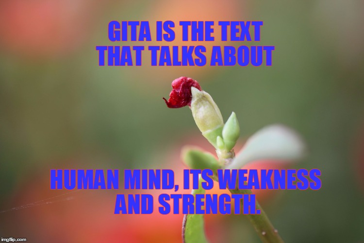 GBagavath Gita Message |  GITA IS THE TEXT THAT TALKS ABOUT; HUMAN MIND, ITS WEAKNESS AND STRENGTH. | image tagged in gita,spiritual | made w/ Imgflip meme maker