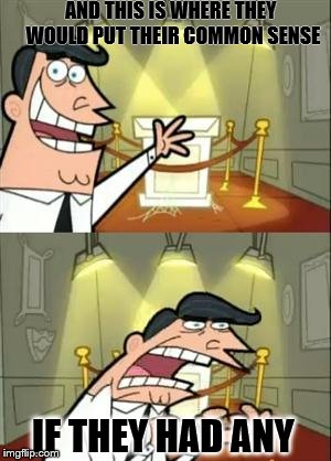 This Is Where I'd Put My Trophy If I Had One | AND THIS IS WHERE THEY WOULD PUT THEIR COMMON SENSE; IF THEY HAD ANY | image tagged in memes,this is where i'd put my trophy if i had one | made w/ Imgflip meme maker