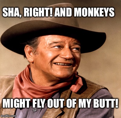 SHA, RIGHT! AND MONKEYS MIGHT FLY OUT OF MY BUTT! | made w/ Imgflip meme maker