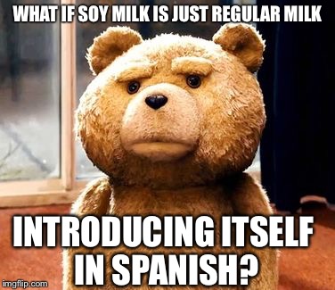 TED | WHAT IF SOY MILK IS JUST REGULAR MILK; INTRODUCING ITSELF IN SPANISH? | image tagged in memes,ted | made w/ Imgflip meme maker