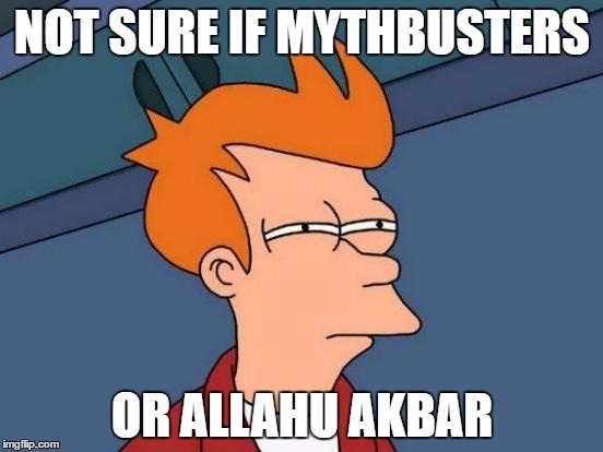 Futurama Fry Meme | NOT SURE IF MYTHBUSTERS; OR ALLAHU AKBAR | image tagged in memes,futurama fry | made w/ Imgflip meme maker