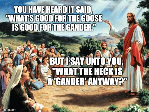 Does anybody know? | YOU HAVE HEARD IT SAID, "WHAT'S GOOD FOR THE GOOSE IS GOOD FOR THE GANDER."; BUT I SAY UNTO YOU, "WHAT THE HECK IS A 'GANDER' ANYWAY?" | image tagged in jesus said | made w/ Imgflip meme maker