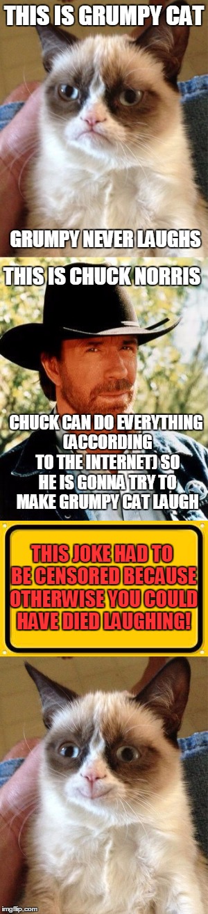 this must have been Chucking hillarious! | THIS IS GRUMPY CAT; GRUMPY NEVER LAUGHS; THIS IS CHUCK NORRIS; CHUCK CAN DO EVERYTHING (ACCORDING TO THE INTERNET) SO HE IS GONNA TRY TO MAKE GRUMPY CAT LAUGH; THIS JOKE HAD TO BE CENSORED BECAUSE OTHERWISE YOU COULD HAVE DIED LAUGHING! | image tagged in memes,grumpy cat,chuck norris,grumpy cat smile | made w/ Imgflip meme maker