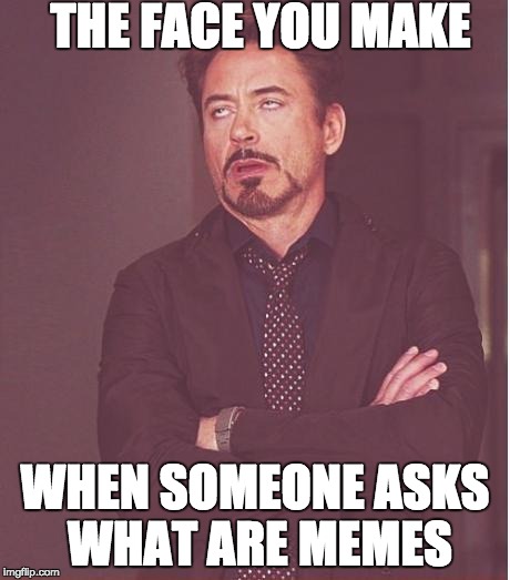 Face You Make Robert Downey Jr Meme | THE FACE YOU MAKE; WHEN SOMEONE ASKS WHAT ARE MEMES | image tagged in memes,face you make robert downey jr | made w/ Imgflip meme maker