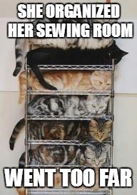 cats | SHE ORGANIZED HER SEWING ROOM; WENT TOO FAR | image tagged in cats | made w/ Imgflip meme maker