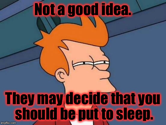 Futurama Fry Meme | Not a good idea. They may decide that you should be put to sleep. | image tagged in memes,futurama fry | made w/ Imgflip meme maker