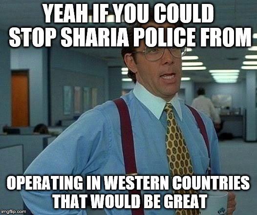 That Would Be Great | YEAH IF YOU COULD STOP SHARIA POLICE FROM; OPERATING IN WESTERN COUNTRIES THAT WOULD BE GREAT | image tagged in memes,that would be great | made w/ Imgflip meme maker