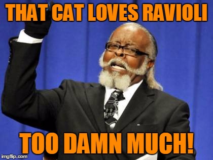 Too Damn High Meme | THAT CAT LOVES RAVIOLI TOO DAMN MUCH! | image tagged in memes,too damn high | made w/ Imgflip meme maker