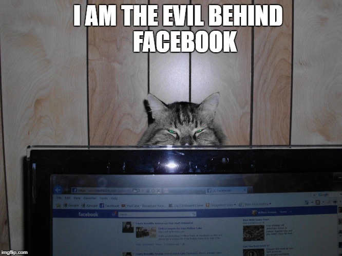 evil behind facebook | I AM THE EVIL BEHIND         FACEBOOK | image tagged in cats,facebook,evil cat | made w/ Imgflip meme maker