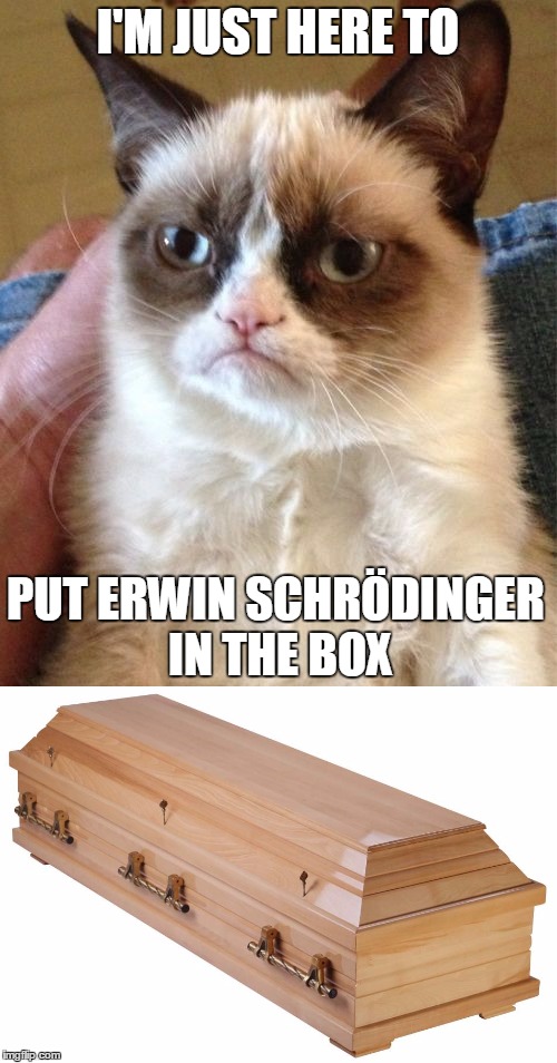 I'M JUST HERE TO PUT ERWIN SCHRÖDINGER IN THE BOX | made w/ Imgflip meme maker