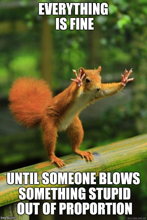 Wait a Minute Squirrel | EVERYTHING IS FINE; UNTIL SOMEONE BLOWS SOMETHING STUPID OUT OF PROPORTION | image tagged in wait a minute squirrel | made w/ Imgflip meme maker