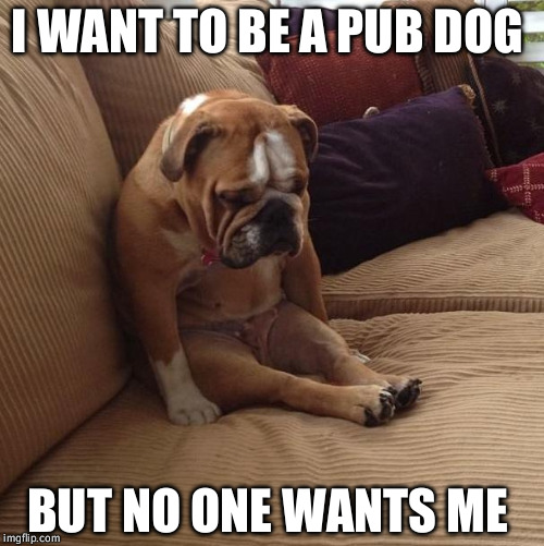 bulldogsad | I WANT TO BE A PUB DOG; BUT NO ONE WANTS ME | image tagged in bulldogsad | made w/ Imgflip meme maker