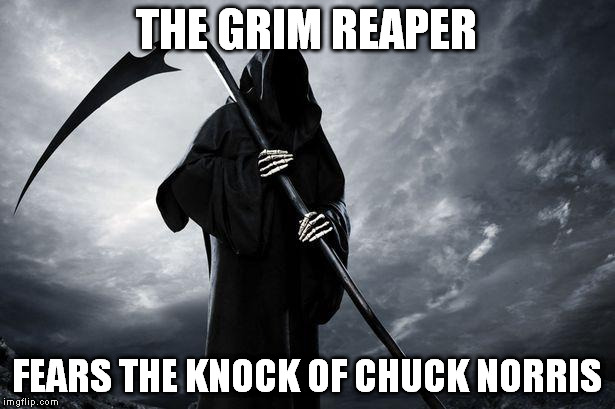 Grim Reaper | THE GRIM REAPER; FEARS THE KNOCK OF CHUCK NORRIS | image tagged in grim reaper,memes | made w/ Imgflip meme maker