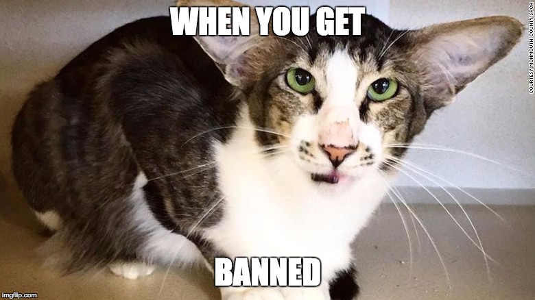 WHEN YOU GET; BANNED | made w/ Imgflip meme maker