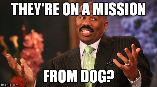Steve Harvey Meme | THEY'RE ON A MISSION FROM DOG? | image tagged in memes,steve harvey | made w/ Imgflip meme maker