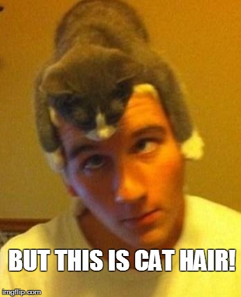 BUT THIS IS CAT HAIR! | made w/ Imgflip meme maker