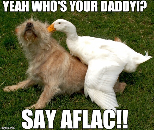 YEAH WHO'S YOUR DADDY!? SAY AFLAC!! | image tagged in funny memes,original meme | made w/ Imgflip meme maker