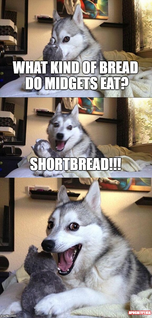 Bad Pun Dog | WHAT KIND OF BREAD DO MIDGETS EAT? SHORTBREAD!!! APOCALYPTICA | image tagged in memes,bad pun dog | made w/ Imgflip meme maker