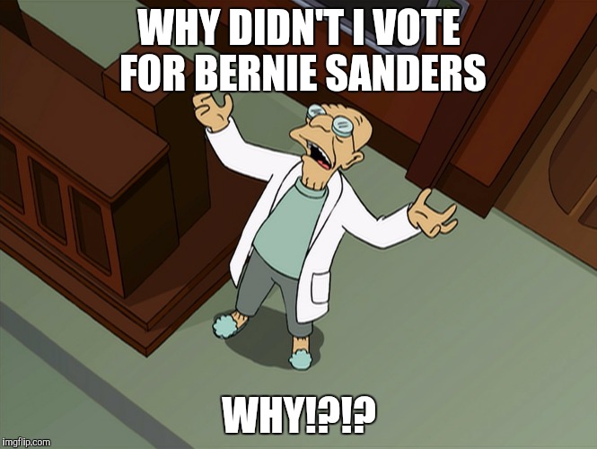 Futurama Why | WHY DIDN'T I VOTE FOR BERNIE SANDERS; WHY!?!? | image tagged in futurama why | made w/ Imgflip meme maker