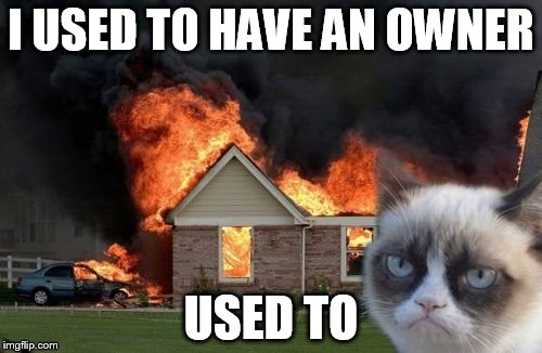 Burn Kitty |  I USED TO HAVE AN OWNER; USED TO | image tagged in memes,burn kitty | made w/ Imgflip meme maker