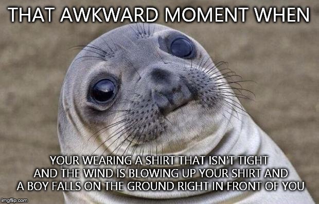 I kicked him when he started smiling... | THAT AWKWARD MOMENT WHEN; YOUR WEARING A SHIRT THAT ISN'T TIGHT AND THE WIND IS BLOWING UP YOUR SHIRT AND A BOY FALLS ON THE GROUND RIGHT IN FRONT OF YOU | image tagged in memes,awkward moment sealion | made w/ Imgflip meme maker