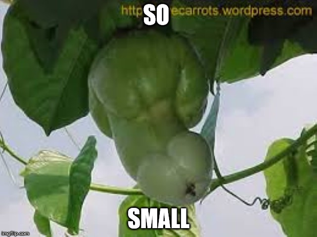 SO SMALL | made w/ Imgflip meme maker