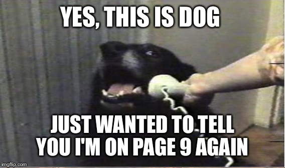 Just jumping on the band wagon.  | YES, THIS IS DOG JUST WANTED TO TELL YOU I'M ON PAGE 9 AGAIN | image tagged in lol,memes,page 9,lynch1979 | made w/ Imgflip meme maker