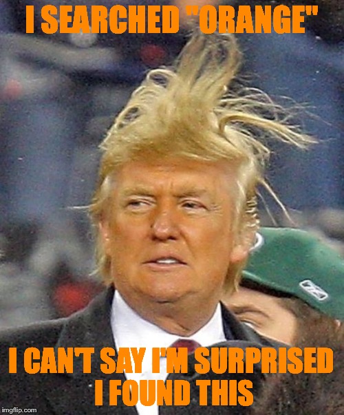 Donald Trumph hair | I SEARCHED "ORANGE"; I CAN'T SAY I'M SURPRISED I FOUND THIS | image tagged in donald trumph hair | made w/ Imgflip meme maker