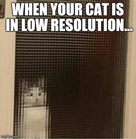 When your cat... | WHEN YOUR CAT IS IN LOW RESOLUTION... | image tagged in funny memes,cats | made w/ Imgflip meme maker